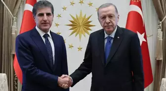 Cumhurbaşkanı Erdoğan, Barzani'yi kabul etti! İşte masadaki konular