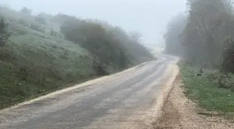 Düzce ve Karabük'te Yoğun Sis Etkili Oldu