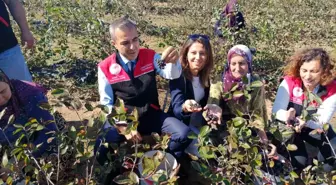 Erdek Kaymakamı, Dünya Kadın Çiftçiler Günü'nde Elif Ünver'i Ziyaret Etti