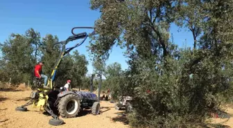 Balıkesirli Mühendis Zeytin Hasat Makineleri Üretip İhracat Yapıyor