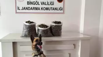 Bingöl'de Uyuşturucu Operasyonu: 4 Kilo Esrar ve 190 Kök Kenevir Ele Geçirildi