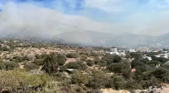 Bodrum'da Makilik Alanda Yangın Söndürüldü