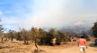 Muğla Bodrum'daki Yangın Kontrol Altına Alındı