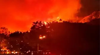 Muğla'da Orman Yangını, Rüzgarın Etkisiyle Büyüdü