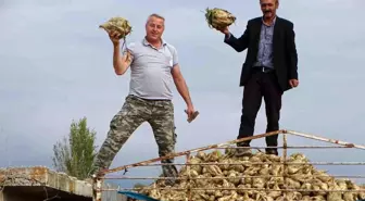 Kütahya'da Şeker Pancarı Üretimi Rekor Kırıyor