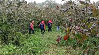 Ordu'da Hurma Toplarken Hayatını Kaybeden Adamın Cansız Bedeni Bulundu