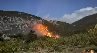 İzmir Kemalpaşa'da Orman Yangını Kontrol Altına Alındı