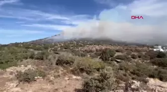 Bodrum'daki Maki Yangını 1 Saate Söndürüldü