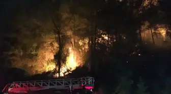 Muğla'da Orman Yangını Başladı