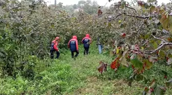 Hurma Toplamak İçin Çıktığı Ağaçtan Düşen Yaşlı Adam Hayatını Kaybetti