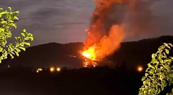 Muğla'da Orman Yangınına Müdahale Devam Ediyor