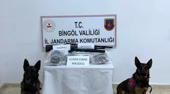 Bingöl'de Uyuşturucu Operasyonu: 8 Kilo Esrar ve 4 Bin 915 Kök Kenevir Ele Geçirildi