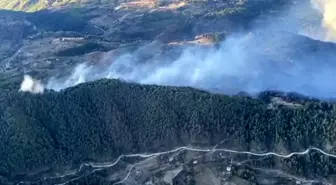 Muğla Dalaman'da Orman Yangını: Ekipler Müdahaleye Devam Ediyor