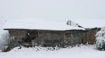 Kastamonu'da Yoğun Kar Yağışı Hayatı Olumsuz Etkiledi