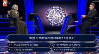 Maydanozgiller nelerdir? Hangisi maydanozgillerden değildir?