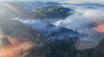 Muğla'da 3 Orman Yangını: Ekipler Mücadele Ediyor