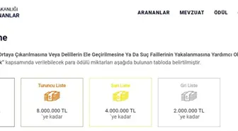 İçişleri Bakanlığı, Terörist İhbar Ödüllerini Artırdı