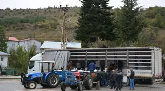 Başçiftlik'ten Gurbetçilere Kışlık Gıda Gönderimi