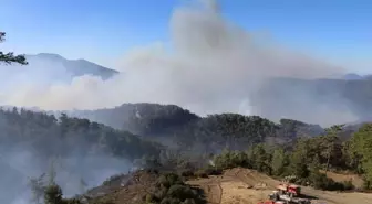 Muğla'da Elektrik Tellerinden Kaynaklanan Orman Yangınlarıyla Mücadele Sürüyor