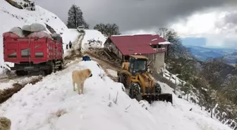 Rize'de Kar Mahsur Kalan 6 Kişiyi Kurtardı