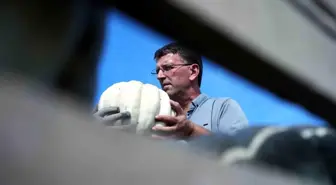 Sakarya'nın Coğrafi İşaretli Kestane Kabağının Hasadı Başladı