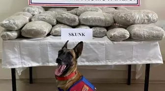 VAN'da 28 Kilo Skunk Ele Ge geçirildi