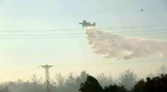 Çanakkale'de Orman Yangını Kontrol Altına Alındı