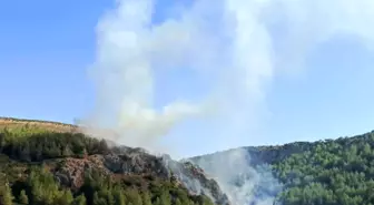 Hatay'da Orman Yangını Kontrol Altına Alındı