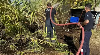 Antalya'da Sazlık Alanda Yangın Söndürüldü