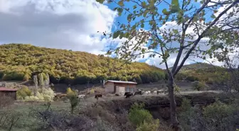 Dipsiz Göl ve Şelalesi Sonbaharda Renk Cümbüşü Sunuyor