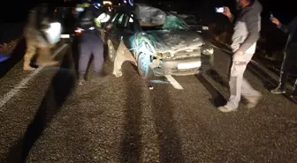 Elazığ'da İneğe Çarpan Otomobilde 3 Yaralı