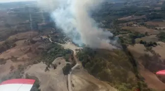 Adana'da Orman Yangını Kontrol Altına Alındı