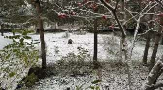 Ardahan'da Kar Manzarası