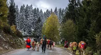 Doğu Karadeniz'de Yayla Göçü Sezonu Sona Eriyor