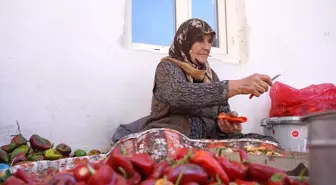 Gaziantep'te Kırsal Kadınlar Ev Ekonomisine Katkı Sağlıyor