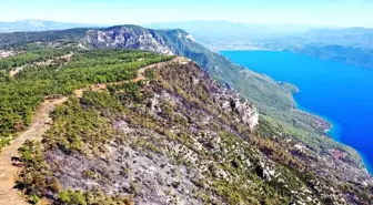 Muğla'da Çıkan Orman Yangını Kontrol Altına Alındı