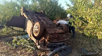 Hatay'da Meyve Bahçesine Uçan Otomobilin Sürücüsü Yaralandı