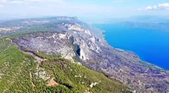 Muğla Menteşe Orman Yangını 4. Gününde Kontrol Altına Alındı