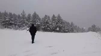 Koyulhisar Yüksek Kesimleri Karla Kaplandı