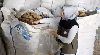 Afyonkarahisar'dan Tunus'a 132 Ton Patates İhracatı