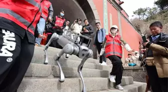 Çin'de Robot Köpekler Tai Dağı'nda Test Edildi