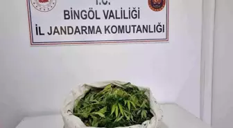 Bingöl'de Uyuşturucu Operasyonu: 11 Kilo Esrar Ele Geçirildi