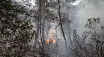 Çanakkale'de Yangın Çıkan Ormanlık Alanda 2 Zanlı Yakalandı