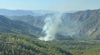 Muğla'nın Dalaman İlçesinde Orman Yangını Çıktı