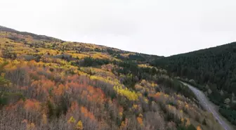 Sonbahar Güzelliği Erzincan Dağlarında