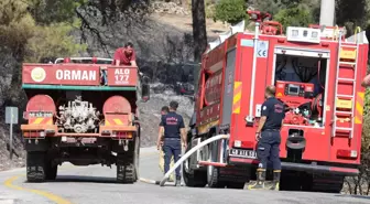 Muğla'da Olası Orman Yangınlarında 849 Hektar Alan Zarar Gördü