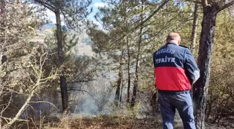 Bolu'da Orman Yangını Erken Müdahale ile Söndürüldü