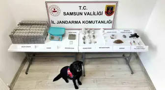 Samsun'da Jandarmadan Uyuşturucu Operasyonu: İki Gözaltı