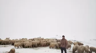 Tokat'ta Çoban Karla Mahsur Kaldı