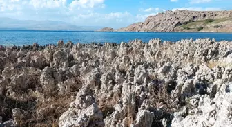 Van Gölü'nde Mikrobiyalit Tarlası: Küresel Isınmanın Etkileri